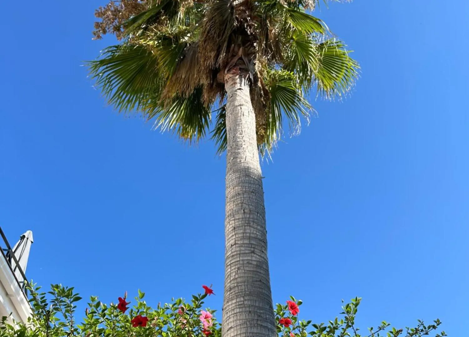 Marbella Golf Garden Apartments Benahavis
